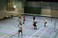 volleyball
